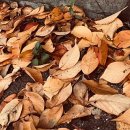 냉천골약수터 이미지