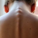 척추가 중심 이미지