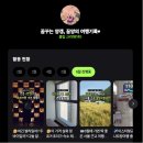 천운축산 | 클립 크리에이터 4기 후기 5개월 활동 수익 공개