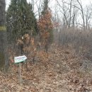 강화군농업기술센터 이미지