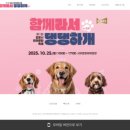 댕댕하개 이미지