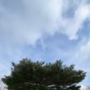 가족호텔 한솔동 이미지