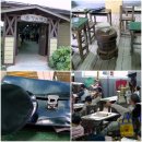 제주시절 이미지