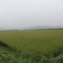 덕진-118 이미지