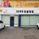 검단종합동물병원 | 인천 마전동 동물병원 검단종합동물병원 위치 오는길 후기