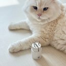 육아 필수템 헤이홈 스마트플러그 Air 사용 후기