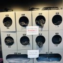 월드휘트니스 | 역삼동헬스장 바이젝 월드 피트니스 직장인 운동 한 달차 후기