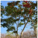 가향농장 이미지