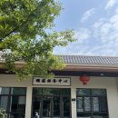 금해 | [상해 여행] 푸동공항 근처, 조용한 수목원 나들이로 제격인 곳 <금해습지(金海湿地)> 후기 및 위치