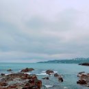 스테이사룡 이미지