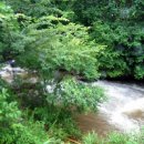 물소리바람소리 이미지