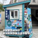 콩쥐팥쥐 | 대학로 아동극 달밤엔씨어터 콩쥐팥쥐 관람 후기