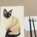 민화그리기(초급) 이미지