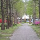 대덕신발 이미지