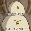 돈돼구만 | 2025년 11월 셋째주 주간일기 : 난 기도했죠 당신의 걱정이 저 꽃들에게 머물기를🌷🍃