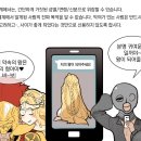 링스토리 이미지