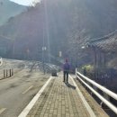 진밭1교 이미지
