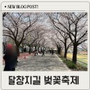 유가초등학교 | 달창지 벚꽃축제 주말 방문후기 주차부터 먹거리까지