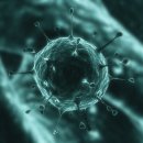 소화빌딩 이미지