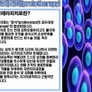 탑동병원 이미지