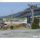 화심장어 이미지