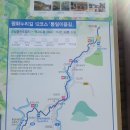 도신대교