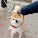 몽글몽글# 이미지