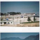 상남중학교 이미지