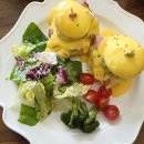 테라브런치 | [부산 강서구 명지 카페추천] 명지 브런치 카페 테라비 테라B 솔직후기