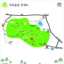 ☺ 7월 7일(월) 힐링! 힐링! - 장성 축령산 편백나무숲길 & 죽녹원 (전남 장성) ☺ 이미지