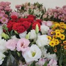 (주)꽃랜드 이미지