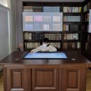 한뫼스크린 이미지