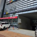 안 수의과병원 | 대구수성구동물병원 본동물메디컬센터24시수성점 비장종양 건강검진 후기