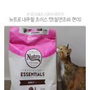 네츄럴초이스 | 내추럴초이스캣