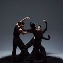 얼루어 카카오 검색결과