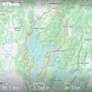 거교리 | 대청호 벚꽃 라이딩 낙타등의 연속. 피반령 업힐, 카페 주차 추천