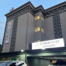 선스테이호텔 | 태백 숙소 추천 고원스테이태백호텔 LP룸 이용 후기