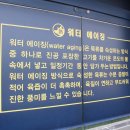 돈백꽃본점 이미지
