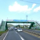 신당리 노컷뉴스