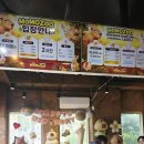 (주)제주안전시스템 | [모모쥬 동물원] 제주 신화월드 필수 코스! 투숙객 20% 할인 및 카피바라 먹이 체험 후기 🌴