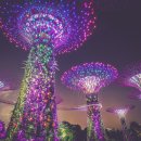리츠파크투자 이미지