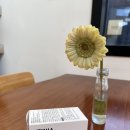 베이니아 | 베이니아 기미억제제 후기｜국내 유일 BGH-O 특허 원료로 기미 케어, 약사 직접 개발한 이너뷰티