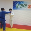 용인대 불당 유도관 이미지