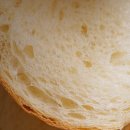 팬브레드 이미지