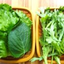 진주밀면&한판삼겹살 이미지