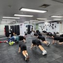 슈가복싱 이미지