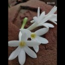 상준고시원