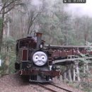 (주)신정관광여행사 | 멜버른2일차_퍼핑빌리에 다녀오다!