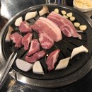 꿀꿀이네 이미지