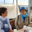 전남 해남 , 행복한 무화과 농장방문 ; 김규임 목사 / 비닐하우스 3,600평 , 년간2억4천매출 , 순수익 1억이상 소득 / 세계기독교 교육신문방송 이미지